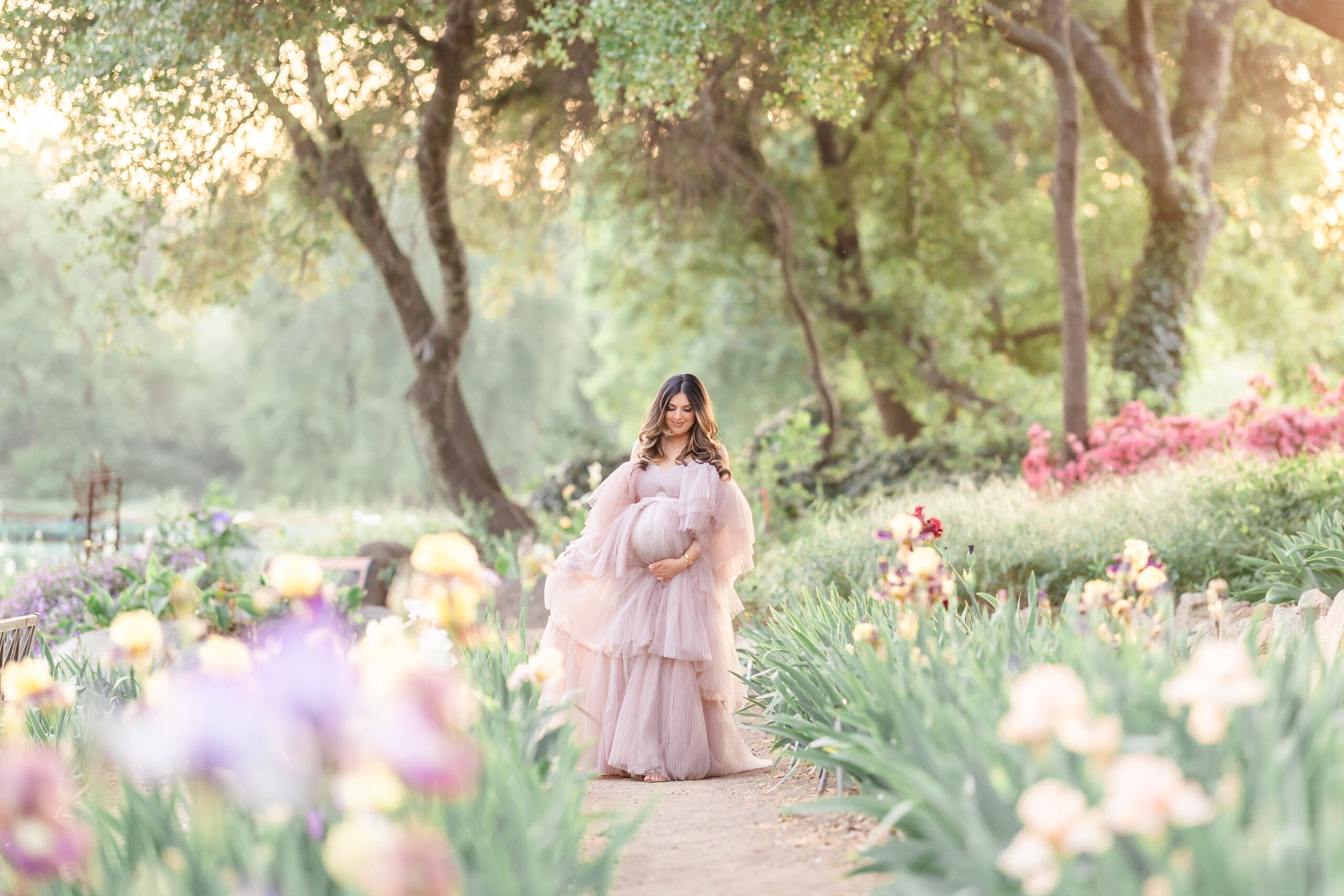 Xio Ponce Bay Area Family Photographer photo of pregnat mom in a Irish garden with a pink dress and flowers.