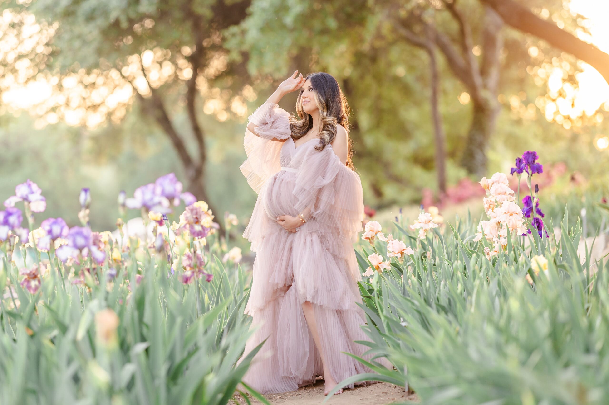 Bay Area Family Photographer